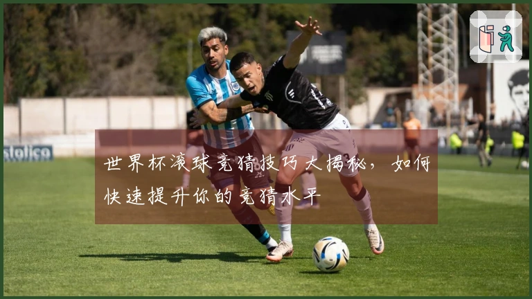 世界杯滚球竞猜技巧大揭秘，如何快速提升你的竞猜水平
