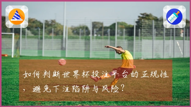 如何判断世界杯投注平台的正规性，避免下注陷阱与风险？