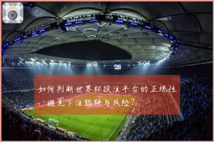 如何判断世界杯投注平台的正规性，避免下注陷阱与风险？